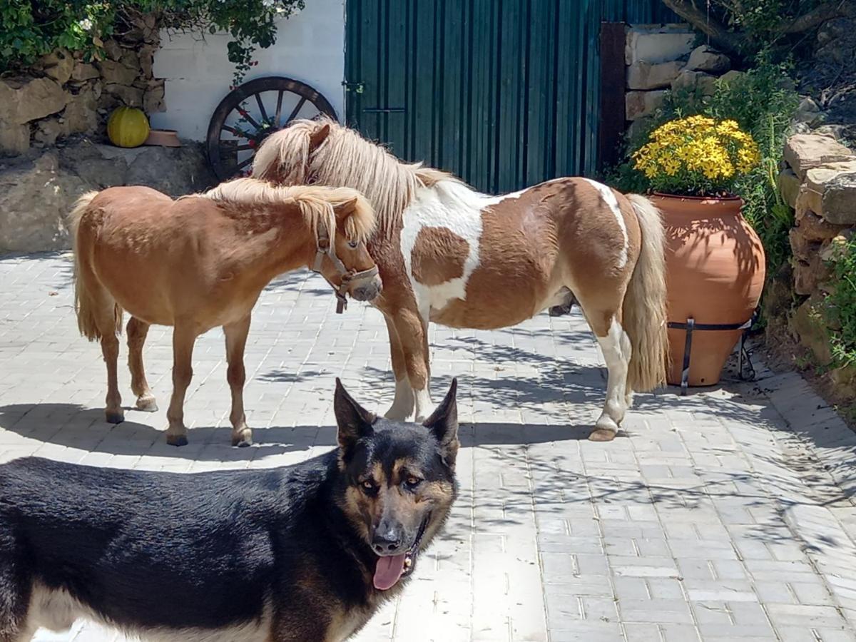 Casinha De Campo- Quintinha Dos Cavalos- Arruda Dos Vinhos Extérieur photo