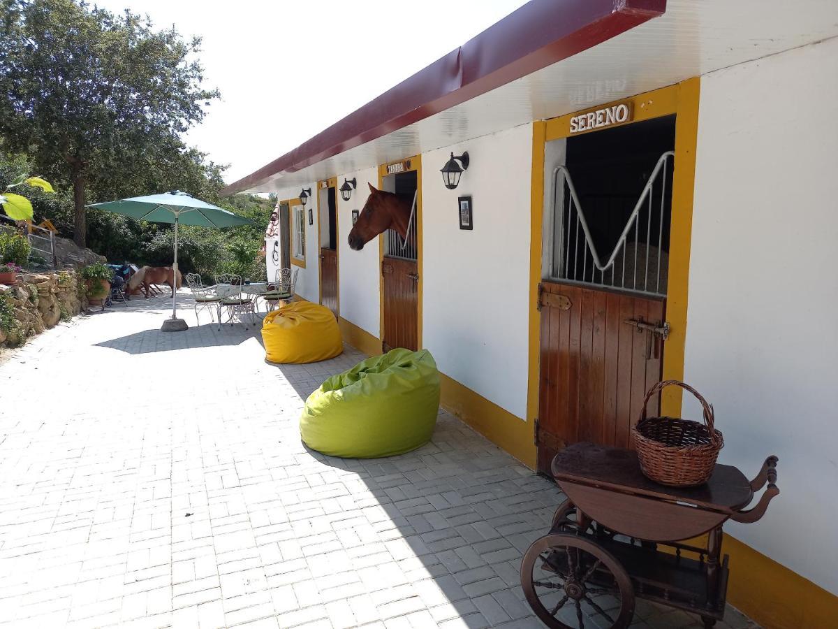 Casinha De Campo- Quintinha Dos Cavalos- Arruda Dos Vinhos Extérieur photo