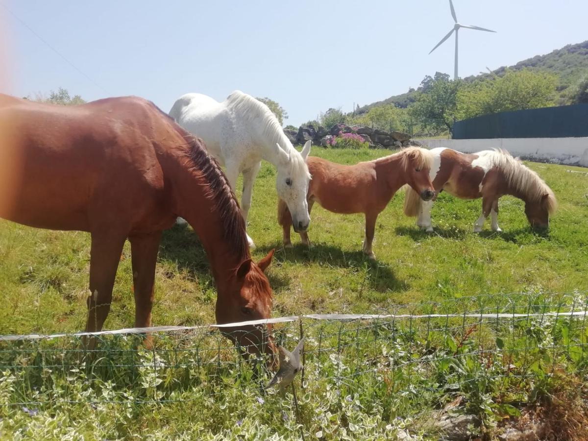 Casinha De Campo- Quintinha Dos Cavalos- Arruda Dos Vinhos Extérieur photo